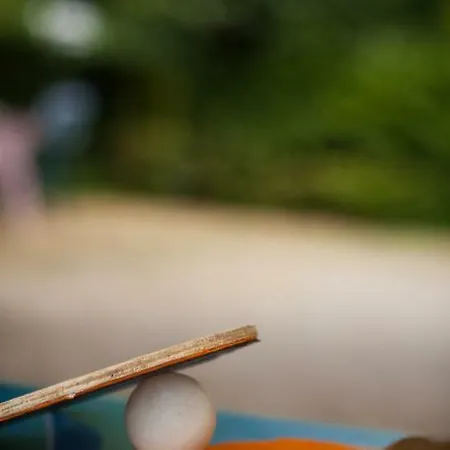 Hotel Au Clos Paille Posay La Roche-Posay