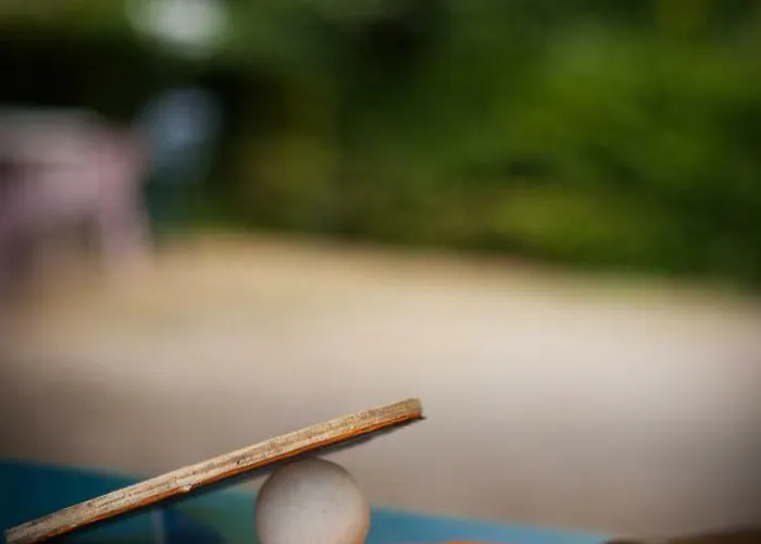 Appartement Logis Hôtel&restaurant Au Clos Paillé Charme&caractère La Roche-Posay